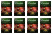 Чай черный в пирамидках Greenfield Redberry Crumble, 20*1,8 г (комплект 8 шт.) 6011344