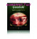 Чай черный в пакетиках Greenfield English Edition (Инглиш Эдишн), 100*2 г (комплект 7 шт.) 6013836