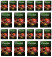 Чай черный в пирамидках Greenfield Redberry Crumble, 20*1,8 г (комплект 20 шт.) 6011344